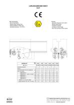 Low Headroom Hoist - 2