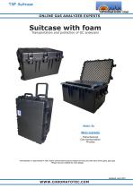 Suitcases with foam-1