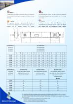 HORIZONTAL CHAIN CONVEYOR Mod. TO - 2