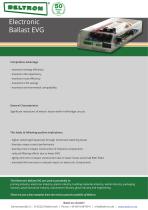 Electronic Ballast EVG - 1