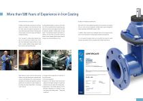 Survey of Gate Valves - 12