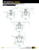 Top Entry Ball Valve Catalog-14