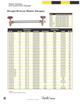 WATER GAUGES AND LIQUID LEVEL GAUGES-10