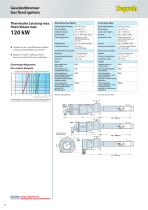 HEGWEIN Gas Fired Igniters - 6