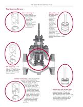 V1C Series Cage-Guided Control Valve - 5