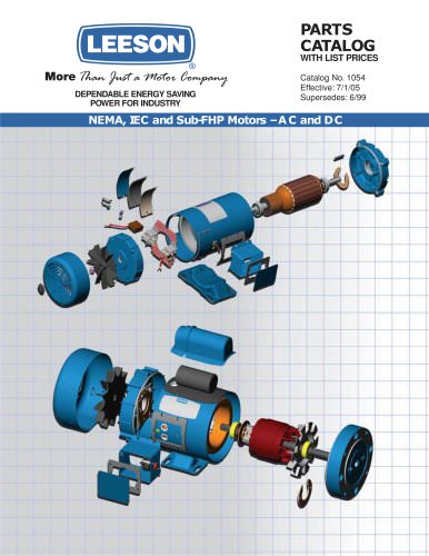 Leeson electric online motor