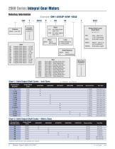 Series 2000 Inline Helical Gear Drives & Gear Motors-4