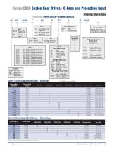 Series 2000 Inline Helical Gear Drives & Gear Motors-5