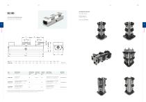 Double vice D2-11