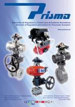 Elements of Regulation and Control for Pneumatic Actuators - 1