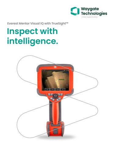 BHCS33632B Mentor ViQ Brochure_R8