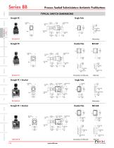 BB series-5