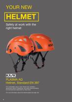 Fall protection systems / Personal protective equipment for the prevention of falls 2017-4