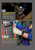 Fall protection systems / Personal protective equipment for the prevention of falls 2017-9