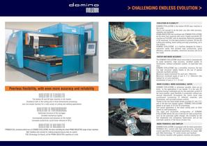 DOMINO BROCHURE-2