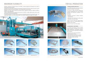 PLATINO BROCHURE-2