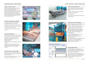 PLATINO BROCHURE-4