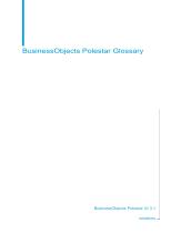 BusinessObjects Polestar Glossary - 1