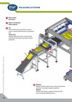 Push Type Palletizer PSM 1500/S - 4