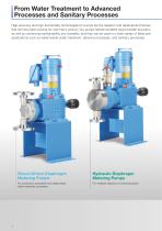 Motor-Driven Metering Pumps - 2