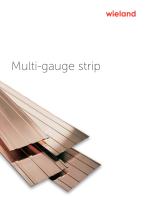 Multi-gauge strip-1