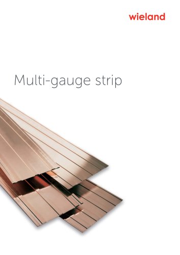 Multi-gauge strip