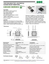 CM300 SERIES - 1