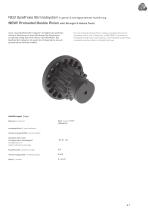 Preloaded Double Pinion-1