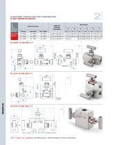 Ham-Let Astava Line of Manifolds-10