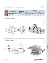 Ham-Let Astava Line of Manifolds-13