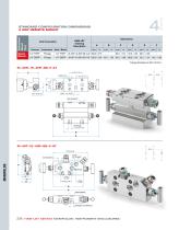 Ham-Let Astava Line of Manifolds-16