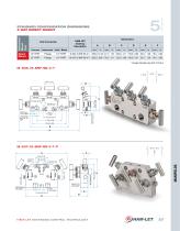Ham-Let Astava Line of Manifolds-17