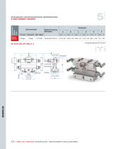 Ham-Let Astava Line of Manifolds-18