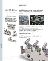 Ham-Let Astava Line of Manifolds-2