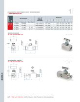 Ham-Let Astava Line of Manifolds-6