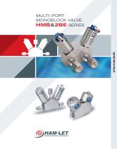HMB & 2BE Multi-Port Diaphragm Monoblock Valves-1