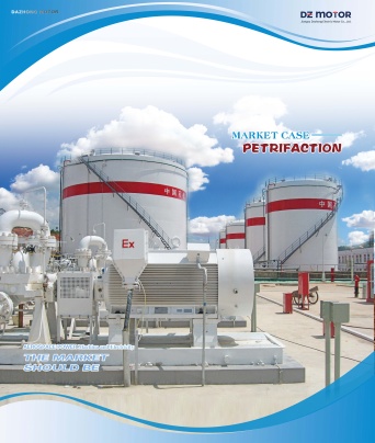 Jiangsu Dazhong Electric Motor CO., Ltd Photo 1