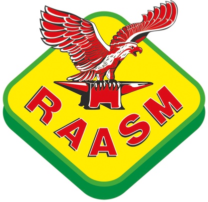 RAASM SpA Photo 5