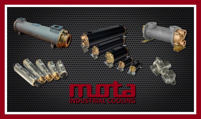 MOTA Photo 3