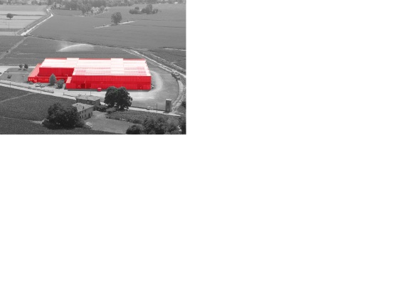 foj_Company_Tab_whoAreWe_title
