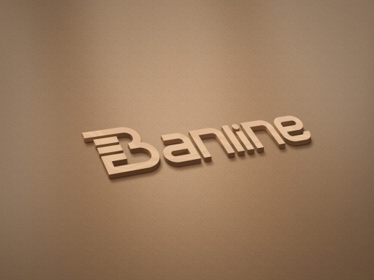 Banline Pipeline Engineering Technology Co.Ltd Photo 1