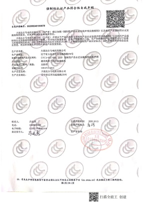 Dalian Dalmo Electric Motor Co. Ltd Photo 10