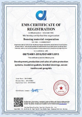 BONSING CORPORATION LIMITED Photo 3