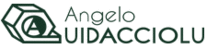 Angelo Quidacciolu Costruzioni Meccaniche - logo