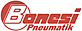 Bonesi Pneumatik s.r.l.