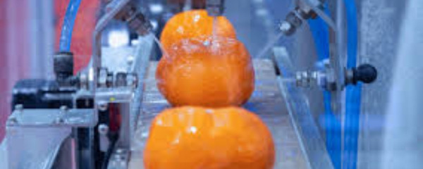 Tech Innovations in Food Safety