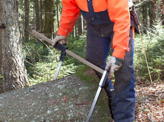 Paquímetro florestal - Waldmeister - Gottlieb Nestle GmbH - de bico ...