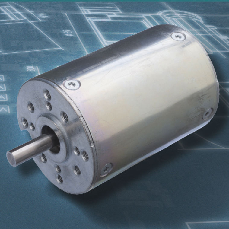 Buehler Motore a Corrente Continua 24v