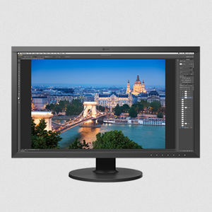 monitor LCD 1