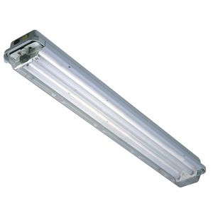 luz